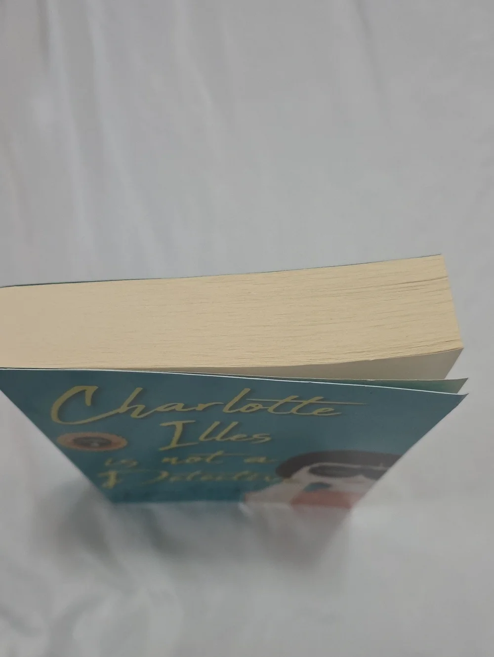 Charlotte Illes Is Not a Detective by Katie Siegel